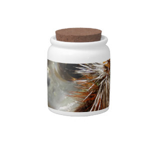Rainbow Trout photo Candy Jar