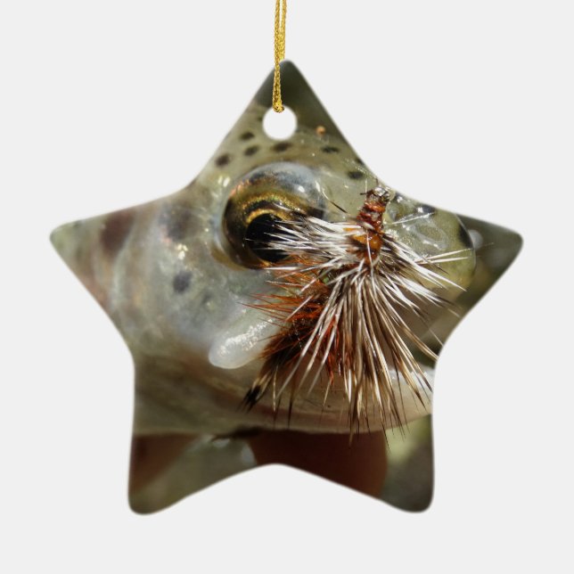 Rainbow Trout photo Ceramic Ornament (Front)