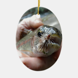 Rainbow Trout photo Ceramic Ornament