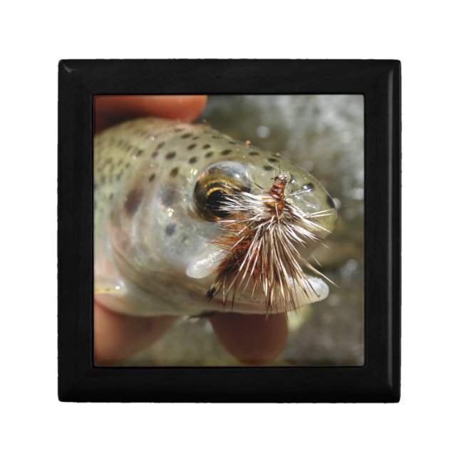 Rainbow Trout photo Gift Box (Front)