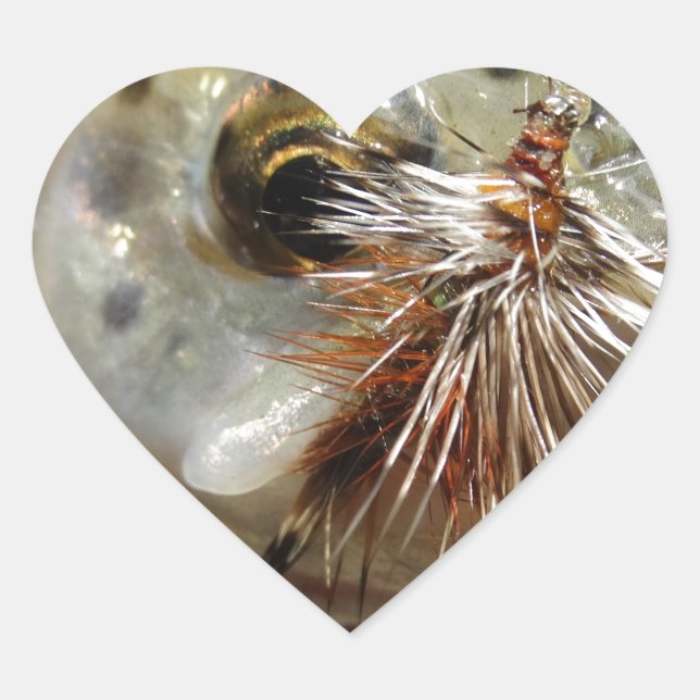 Rainbow Trout photo Heart Sticker (Front)