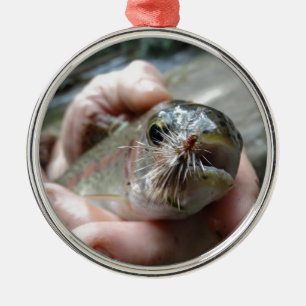 Rainbow Trout photo Metal Ornament