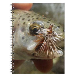 Rainbow Trout photo Notebook