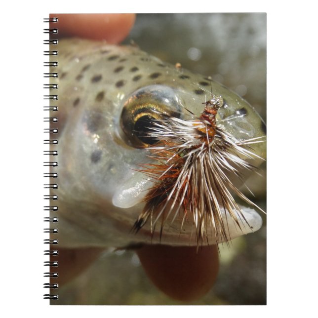 Rainbow Trout photo Notebook (Front)