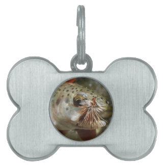 Rainbow Trout photo Pet ID Tag