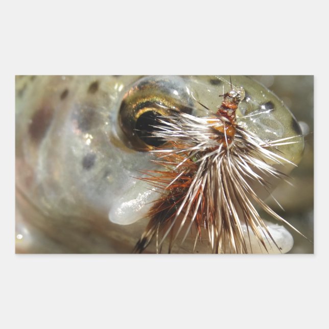 Rainbow Trout photo Rectangular Sticker (Front)