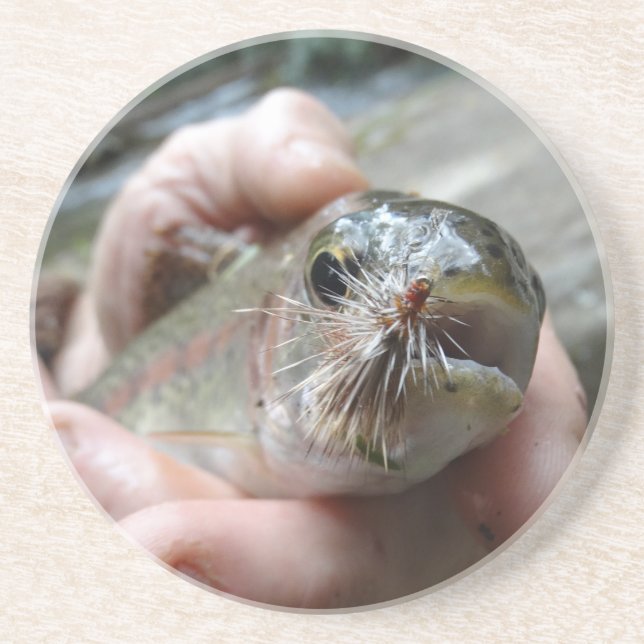 Rainbow Trout photo Sandstone Coaster (Front)