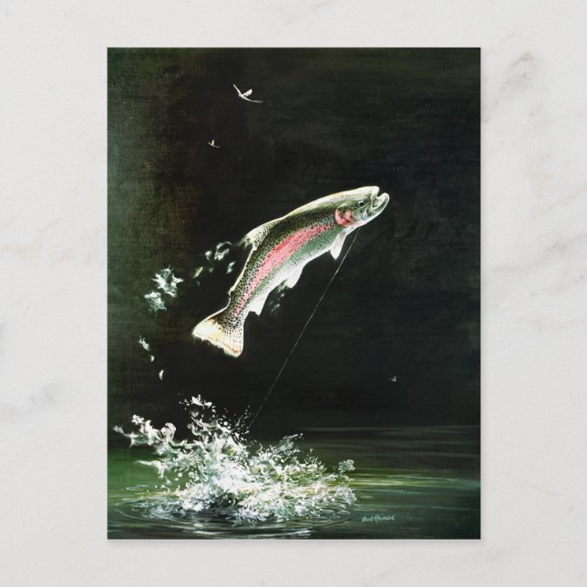 rainbow trout postcard (Front)