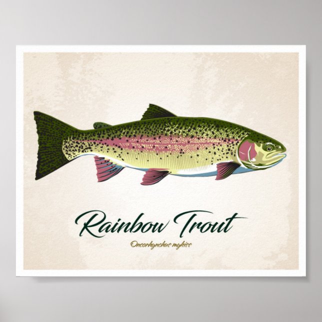 Rainbow Trout Poster (Front)
