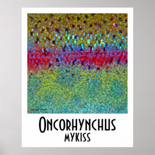 Rainbow Trout Poster