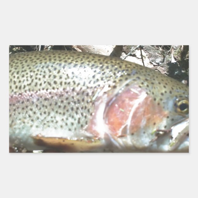 Rainbow trout rectangular sticker (Front)