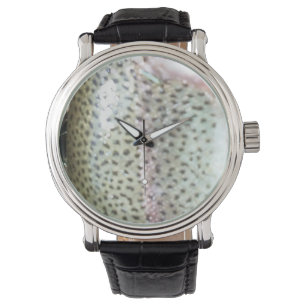 Rainbow trout skin, fly fishing watch