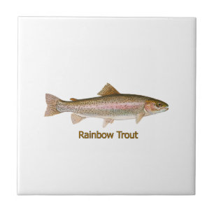 Rainbow Trout (titled) Tile