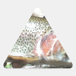 Rainbow trout triangle sticker