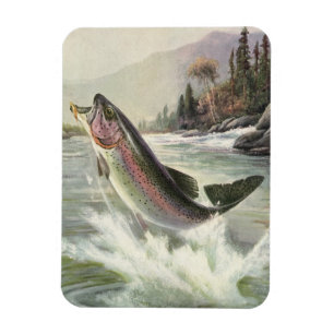 Rainbow Trout, Vintage Fisherman Fishing for Fish Magnet