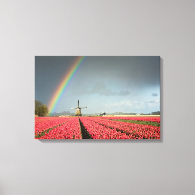 Rainbow, tulips and windmill canvas print (Front)