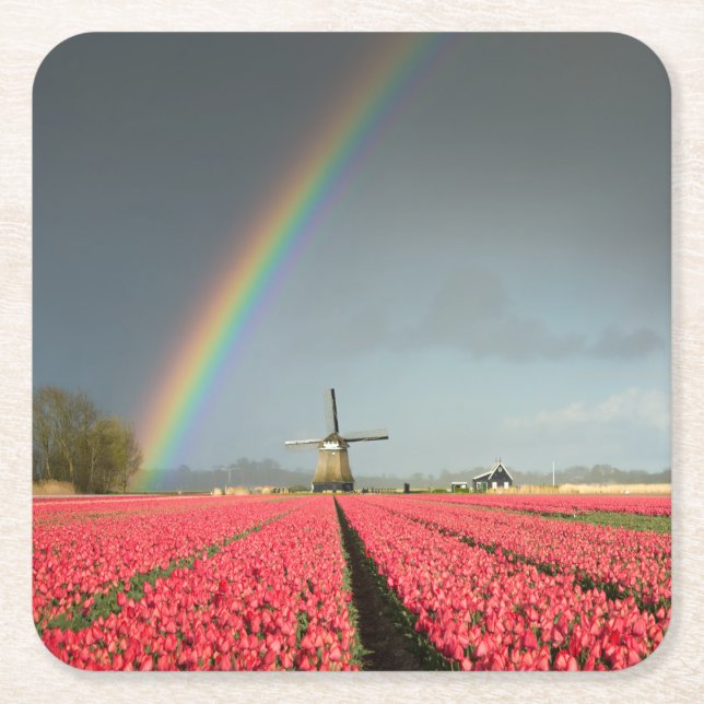 Rainbow, tulips and windmill coaster (Front)