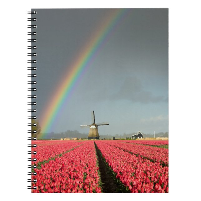 Rainbow, tulips and windmill notebook (Front)