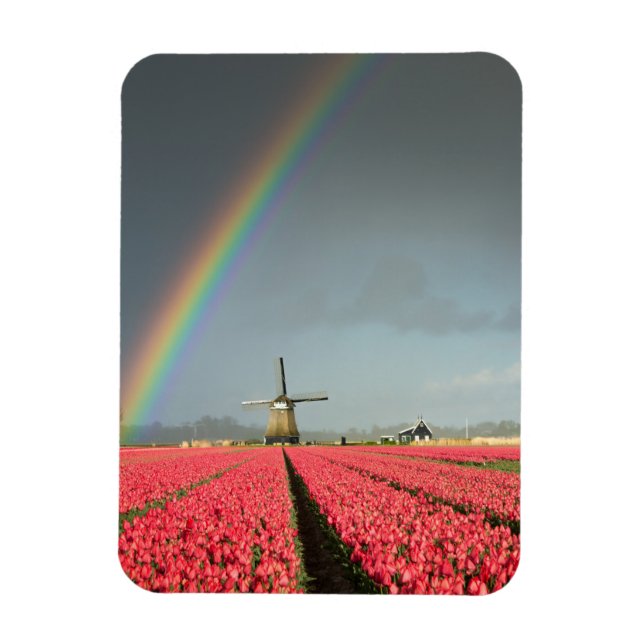 Rainbow, tulips and windmill vertical magnet (Vertical)