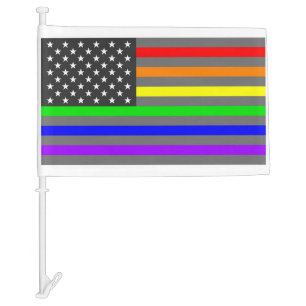 Rainbow US flag