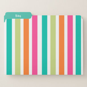 Rainbow vertical stripes colorful retro multicolor file folder