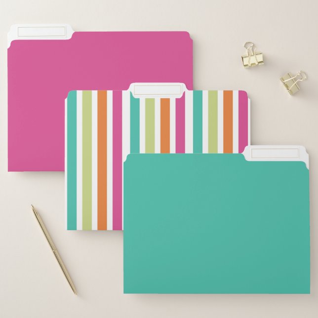 Rainbow vertical stripes colorful retro multicolor file folder (Set)