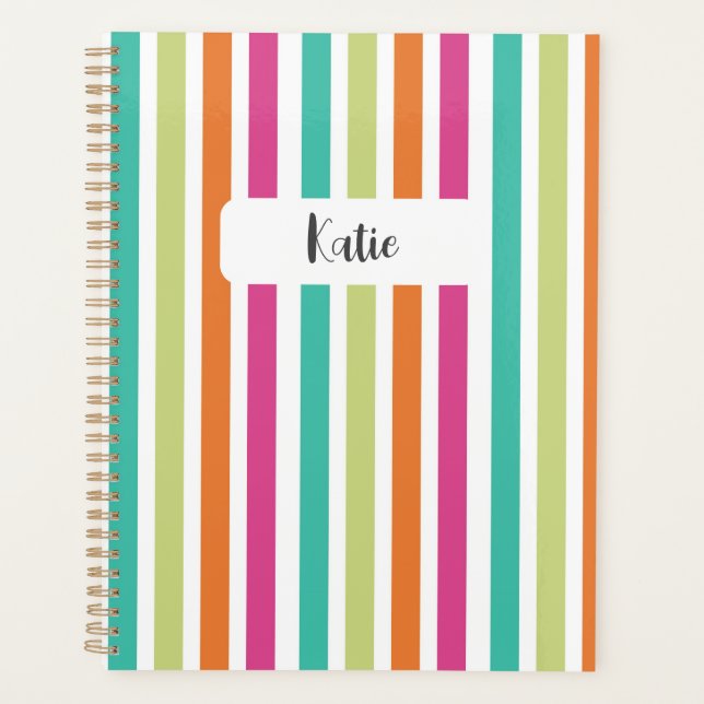 Rainbow vertical stripes colorful retro multicolor planner (Front)