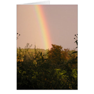 Rainbow Walk II Cards