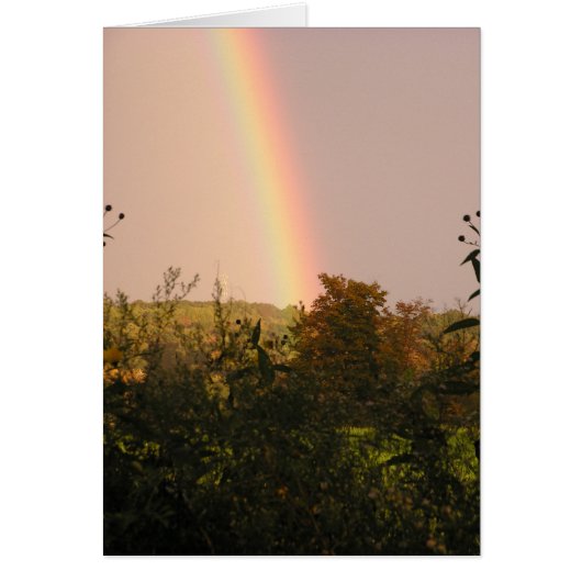 Rainbow Walk II Cards (Front)