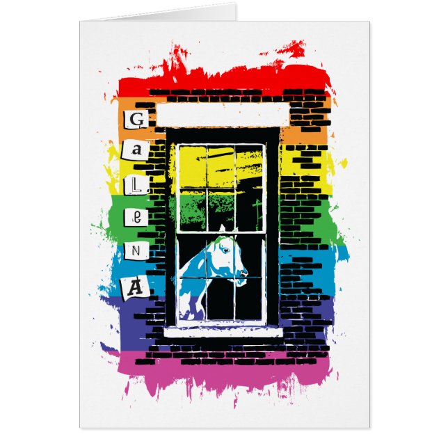 rainbow window horse galena cards (Front)