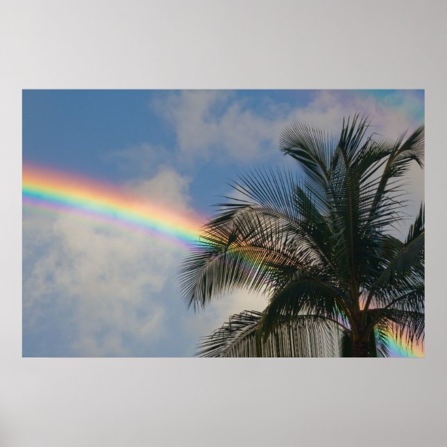 Rainbow with Palm Tree Poster (Front)