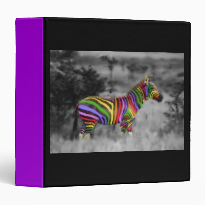 Rainbow Zebra Binder