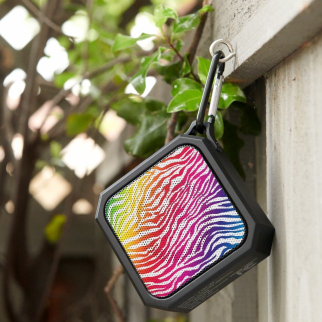 Rainbow Zebra Bluetooth Speaker (Inisitu)