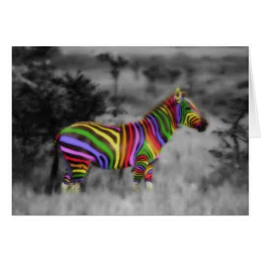 Rainbow Zebra Cards (Front Horizontal)