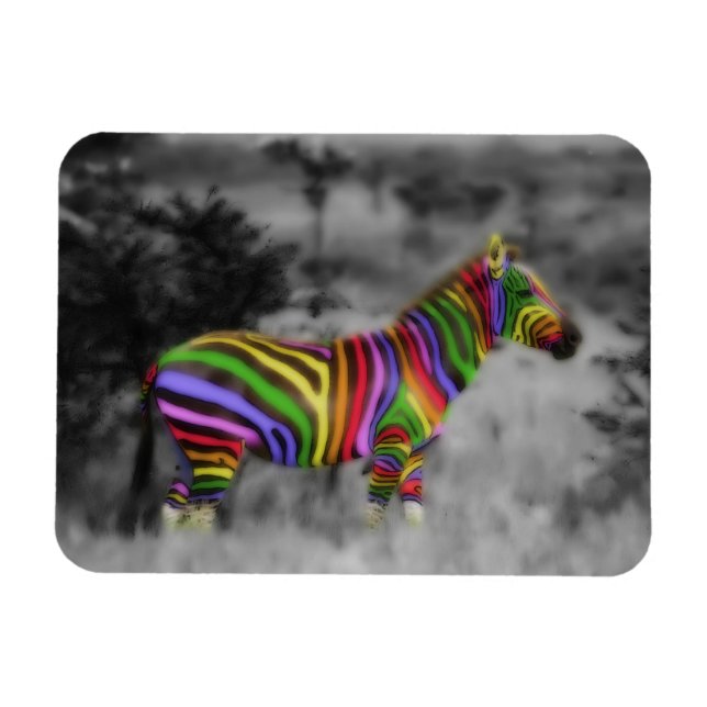Rainbow Zebra Magnet (Horizontal)