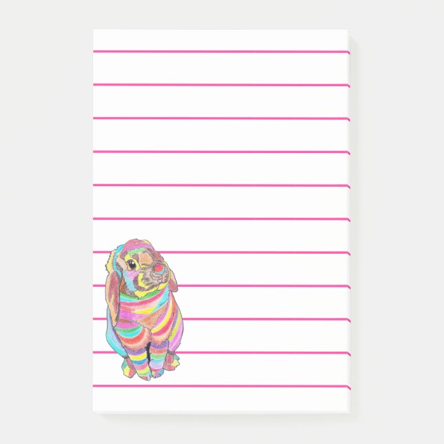 Rainbowbunny Notes (Front)