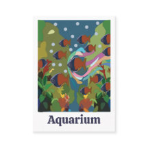 Rainbowfish Under The Sea Aquarium Maintenance