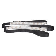Rainbows and Hearts Dog Leash