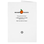 Rainbow's End (Back)