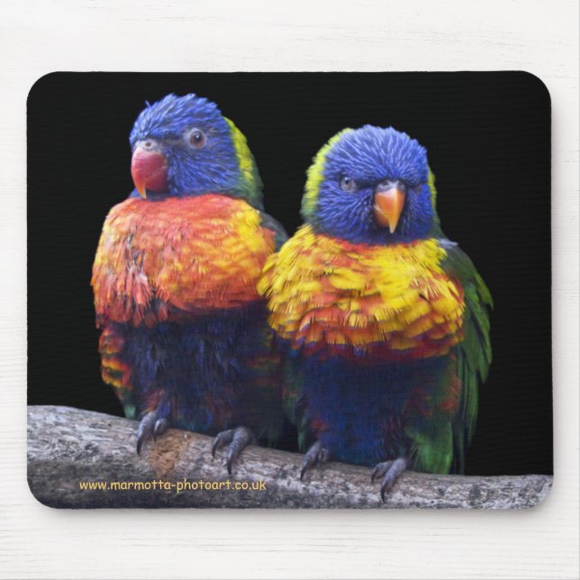 Rainbows Mousemat Mouse Pad (Front)