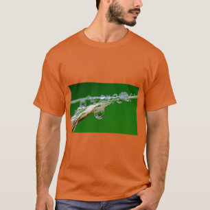Raindrop Bliss Nature Te T-Shirt
