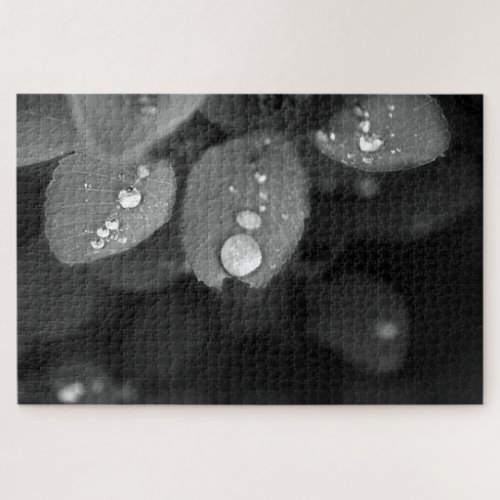 Raindrop on a Leaf Jigsaw Puzzle