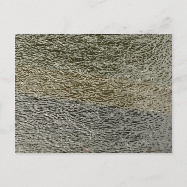 Raindrop Ripples Abstract Nature Photography Postcard (Front)