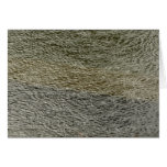 Raindrop Ripples Abstract Nature Water Photography Card