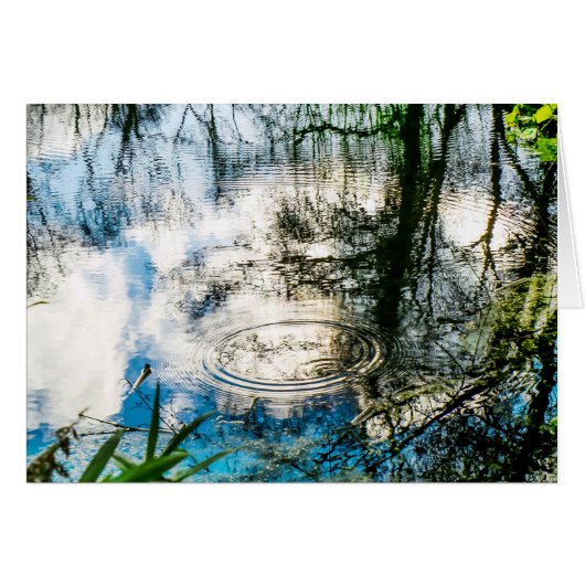 Raindrop Ripples Cards (Front Horizontal)