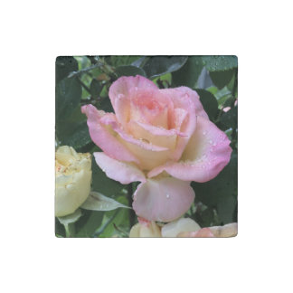 Raindrop Rose Stone Magnet