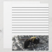 Raindrops (Front/Back)