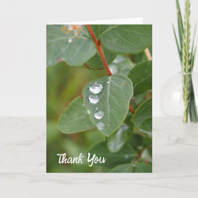 Raindrops and Green Leaves Folded Thank You Card (Front)