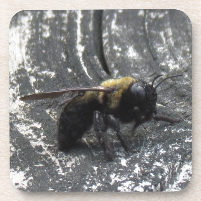 Raindrops Beverage Coaster (Front)