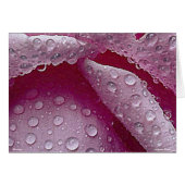 Raindrops -Card- (Front Horizontal)